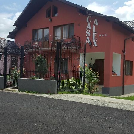 Vila Alex Hotel Calimanesti Luaran gambar
