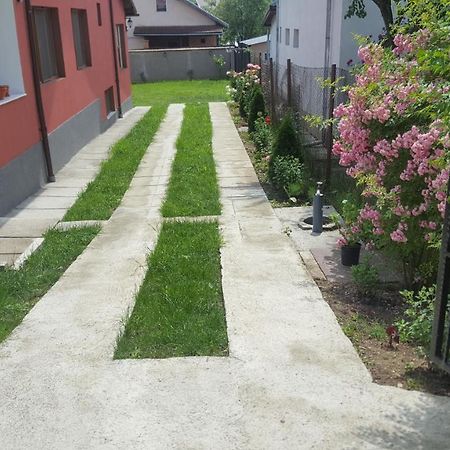 Vila Alex Hotel Calimanesti Luaran gambar