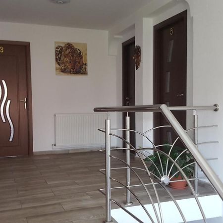 Vila Alex Hotel Calimanesti Luaran gambar