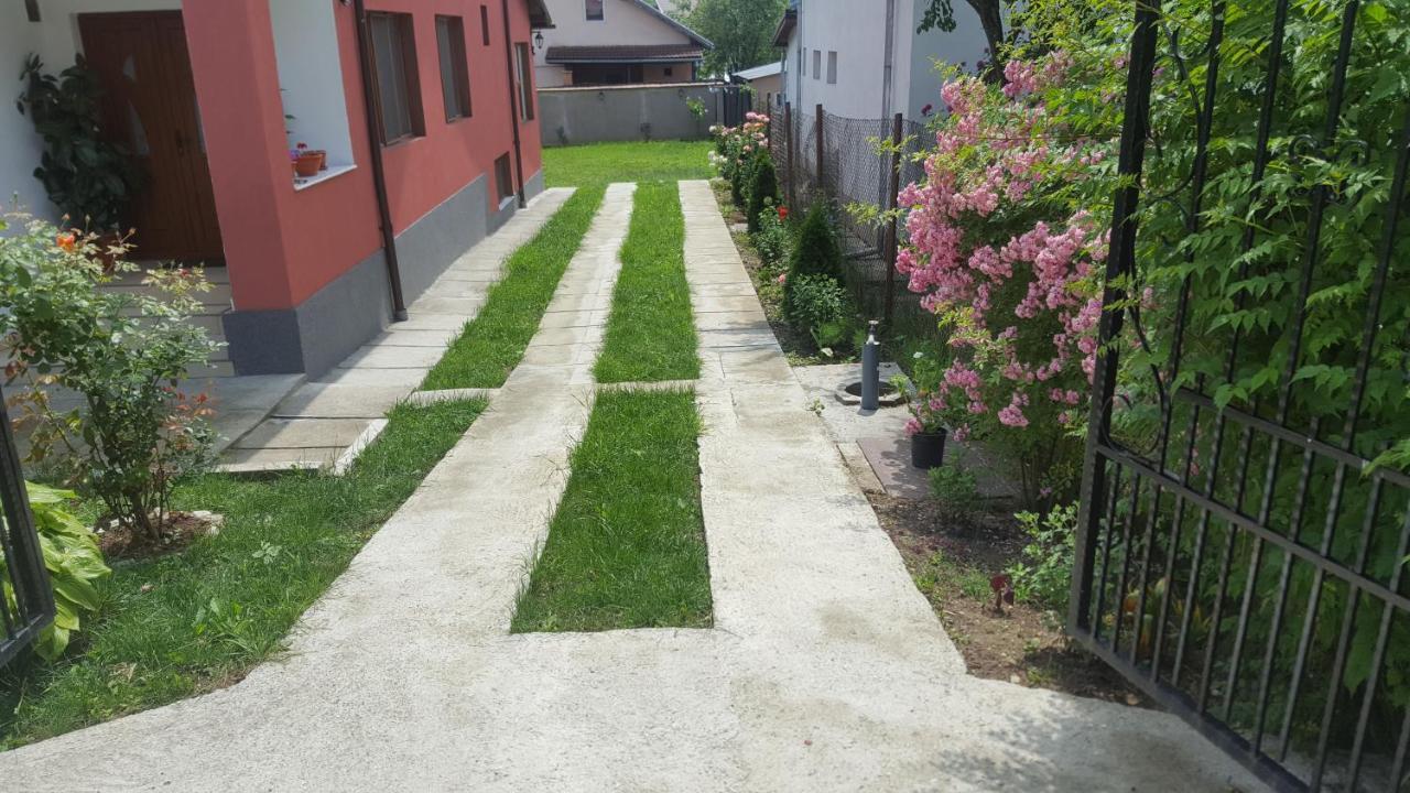 Vila Alex Hotel Calimanesti Luaran gambar