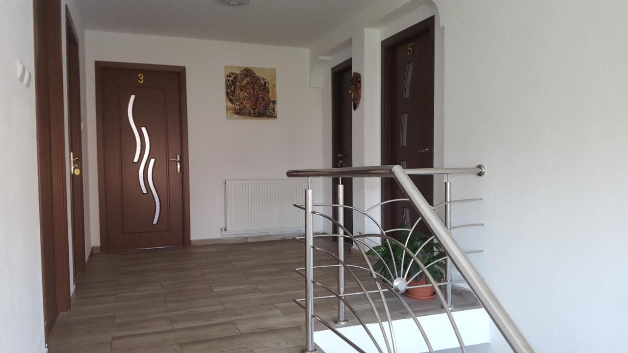 Vila Alex Hotel Calimanesti Luaran gambar
