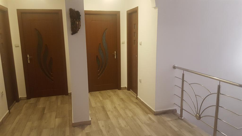 Vila Alex Hotel Calimanesti Luaran gambar