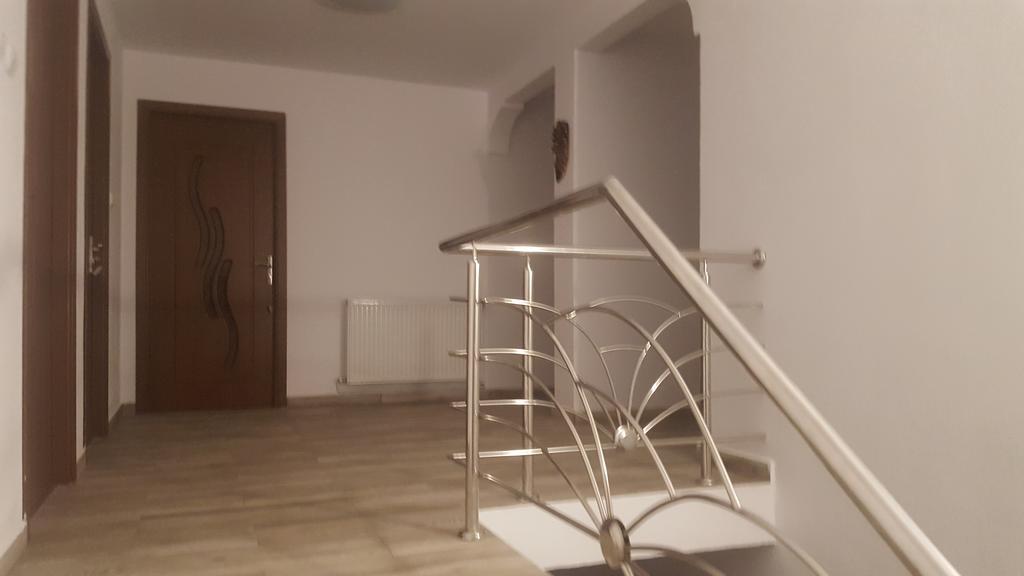 Vila Alex Hotel Calimanesti Luaran gambar