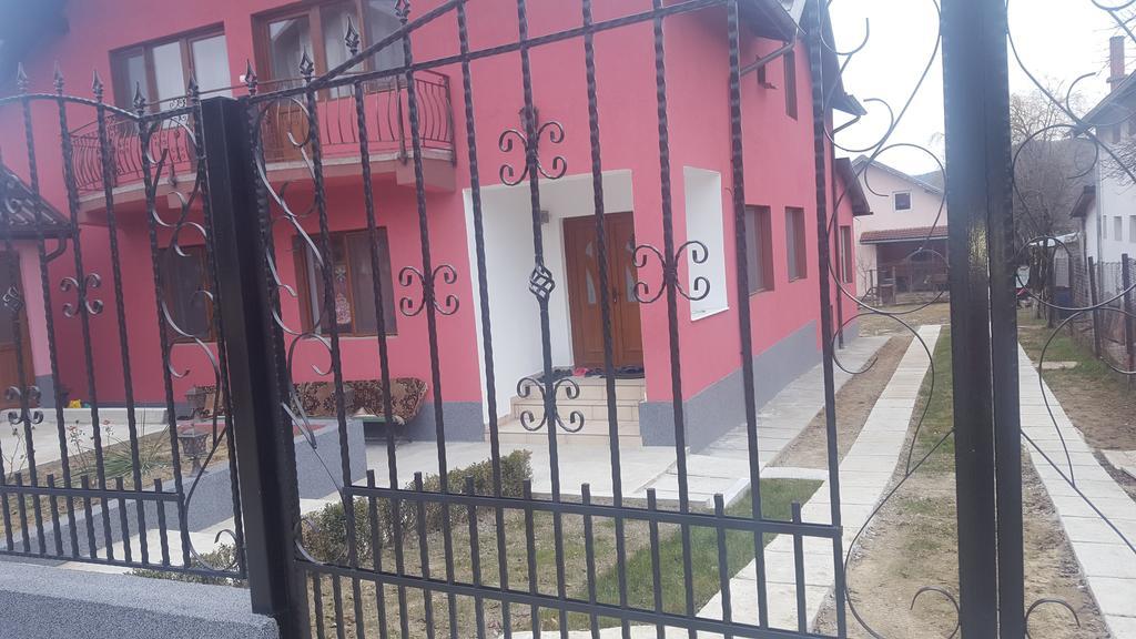 Vila Alex Hotel Calimanesti Luaran gambar