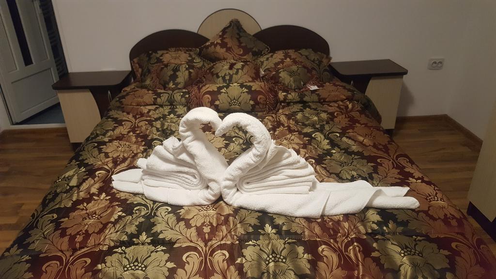 Vila Alex Hotel Calimanesti Luaran gambar