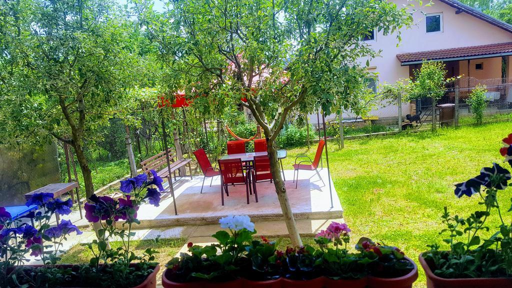 Vila Alex Hotel Calimanesti Luaran gambar