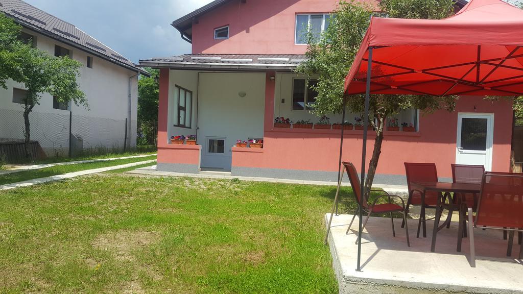 Vila Alex Hotel Calimanesti Luaran gambar