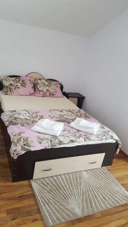 Vila Alex Hotel Calimanesti Luaran gambar