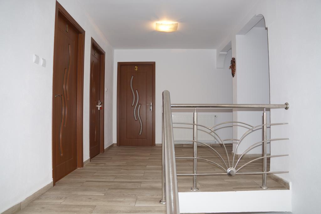 Vila Alex Hotel Calimanesti Luaran gambar