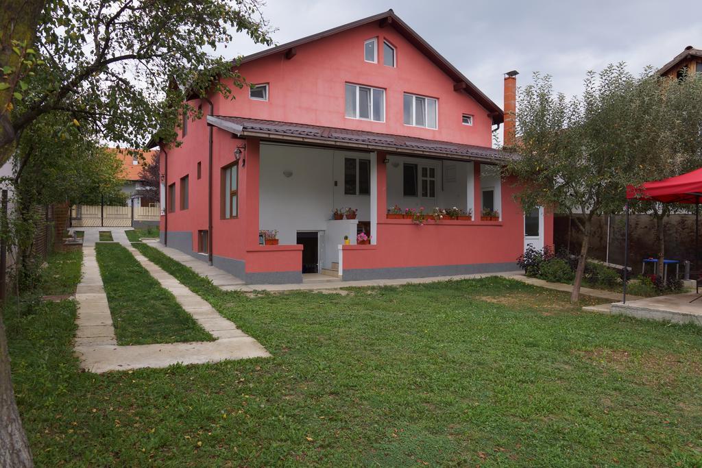 Vila Alex Hotel Calimanesti Luaran gambar