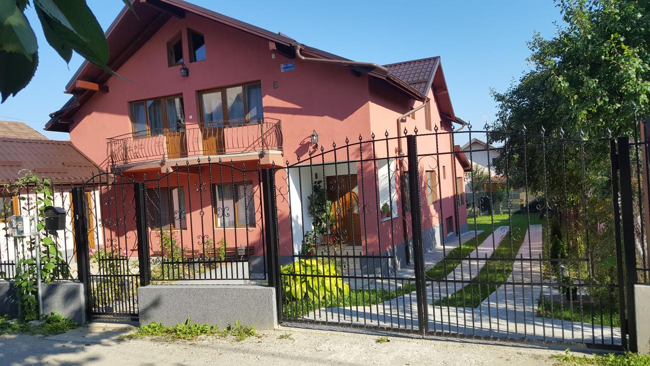 Vila Alex Hotel Calimanesti Luaran gambar