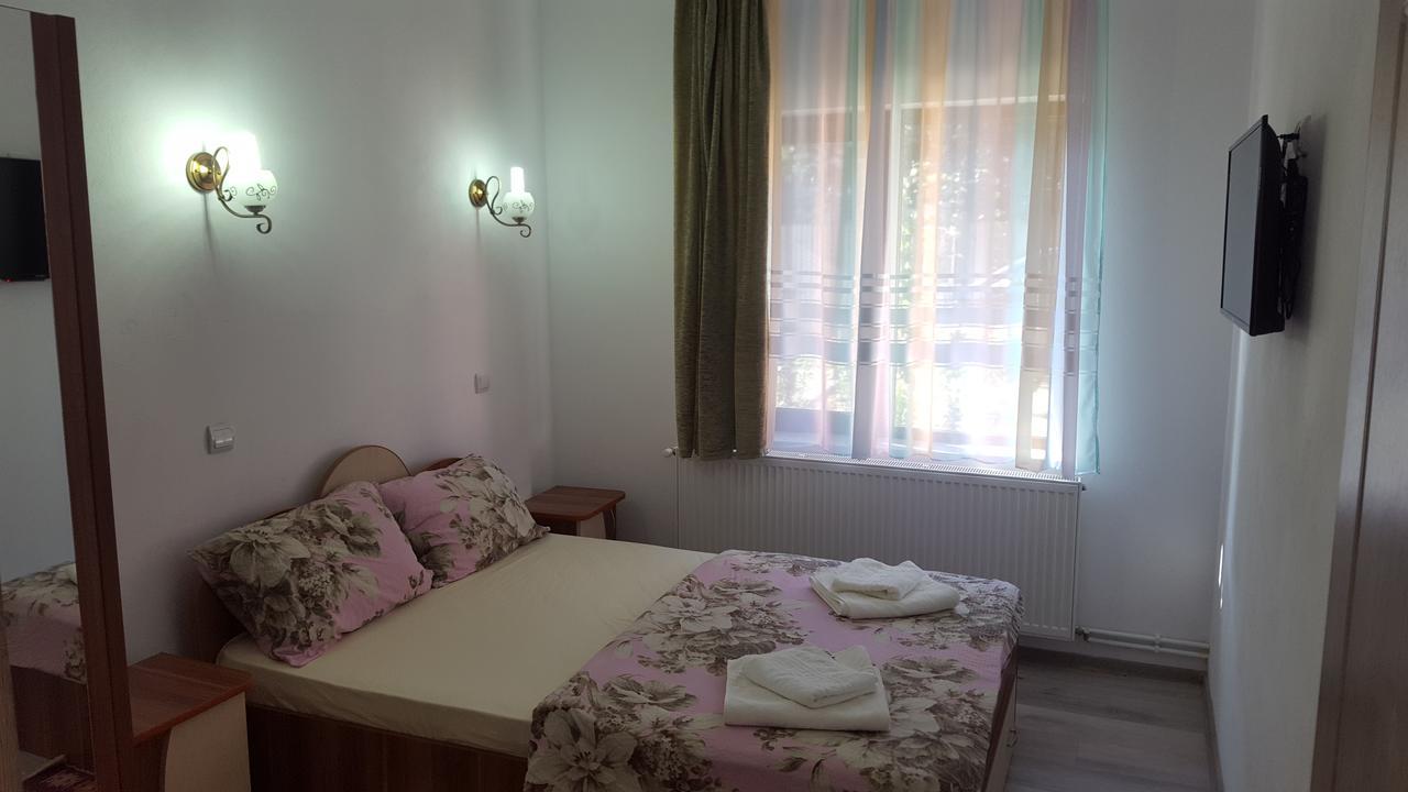 Vila Alex Hotel Calimanesti Luaran gambar