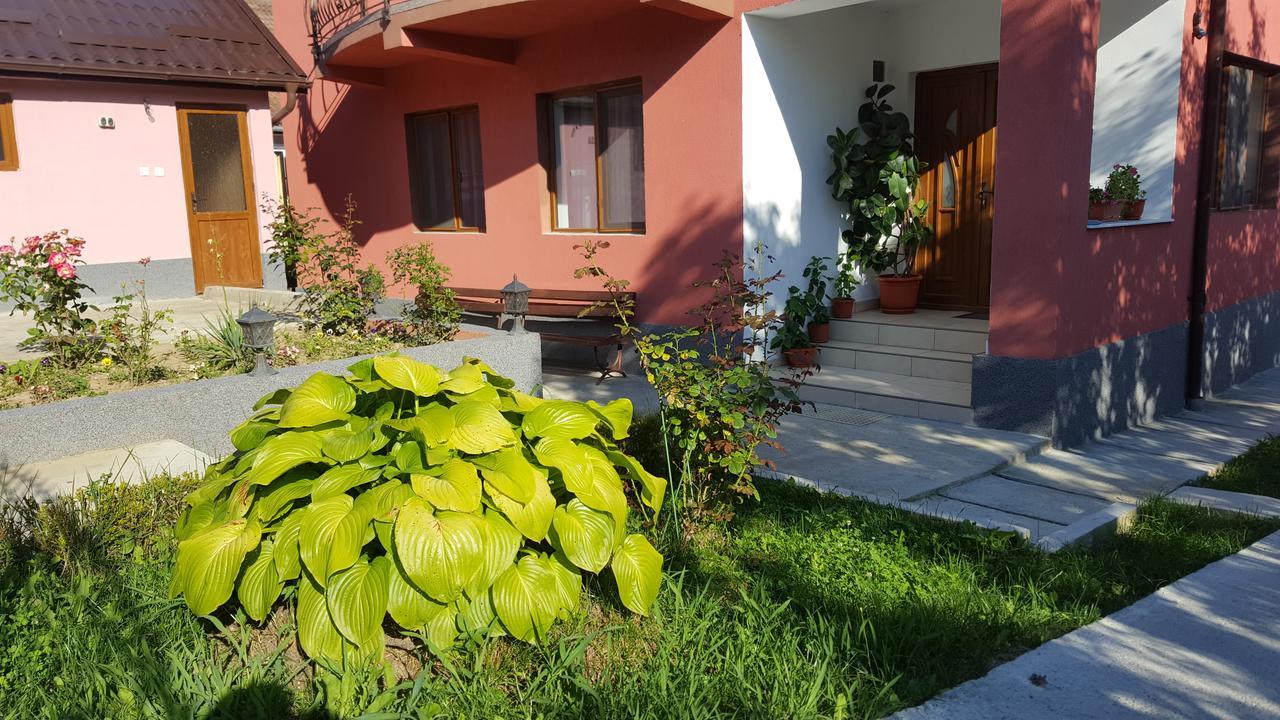 Vila Alex Hotel Calimanesti Luaran gambar