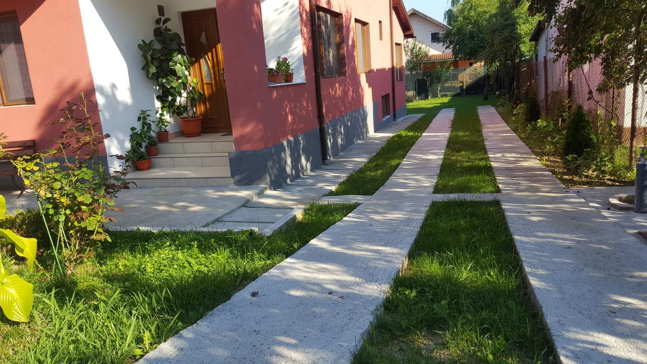 Vila Alex Hotel Calimanesti Luaran gambar