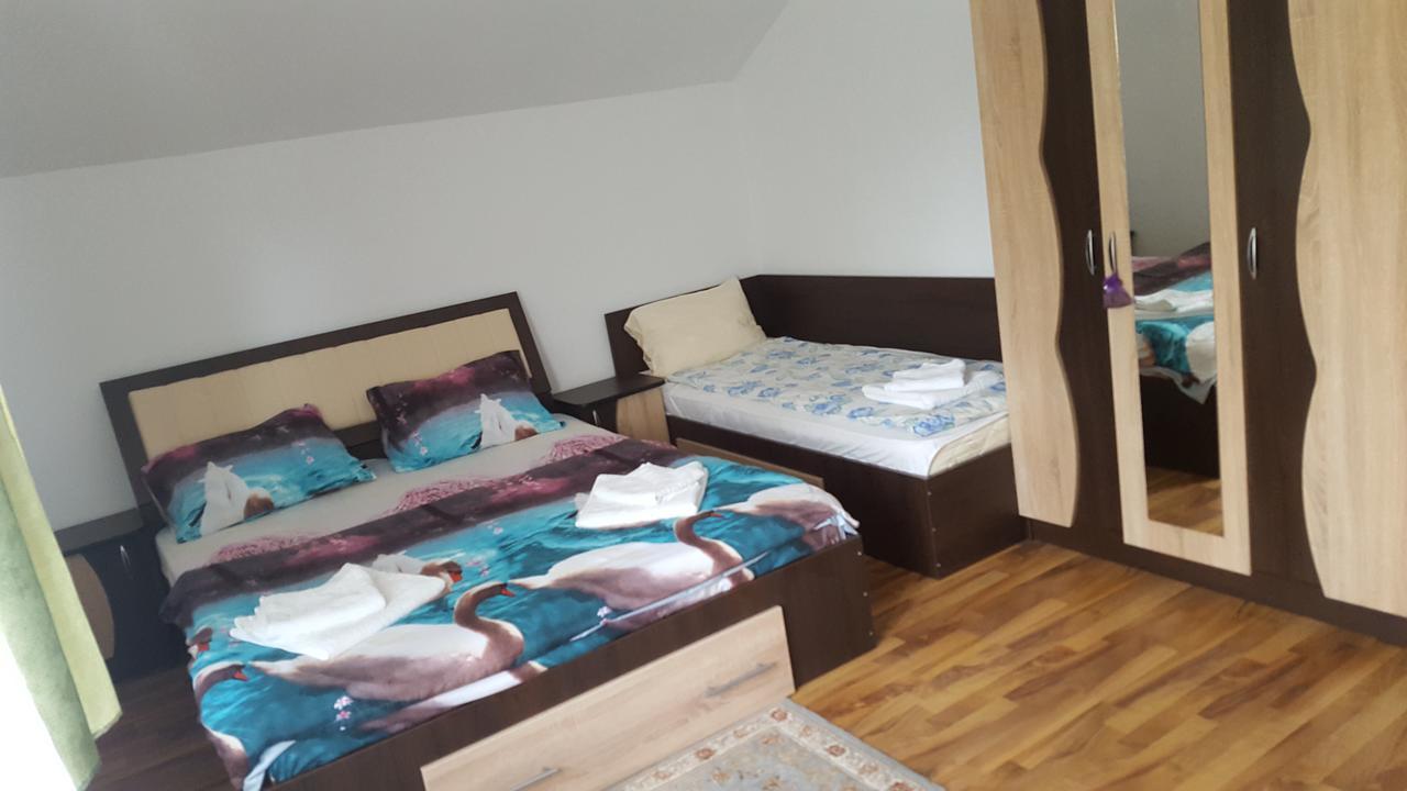 Vila Alex Hotel Calimanesti Luaran gambar