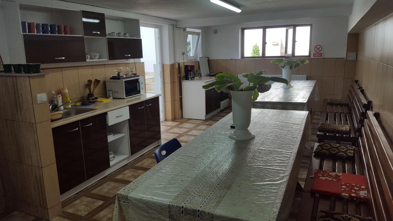 Vila Alex Hotel Calimanesti Luaran gambar