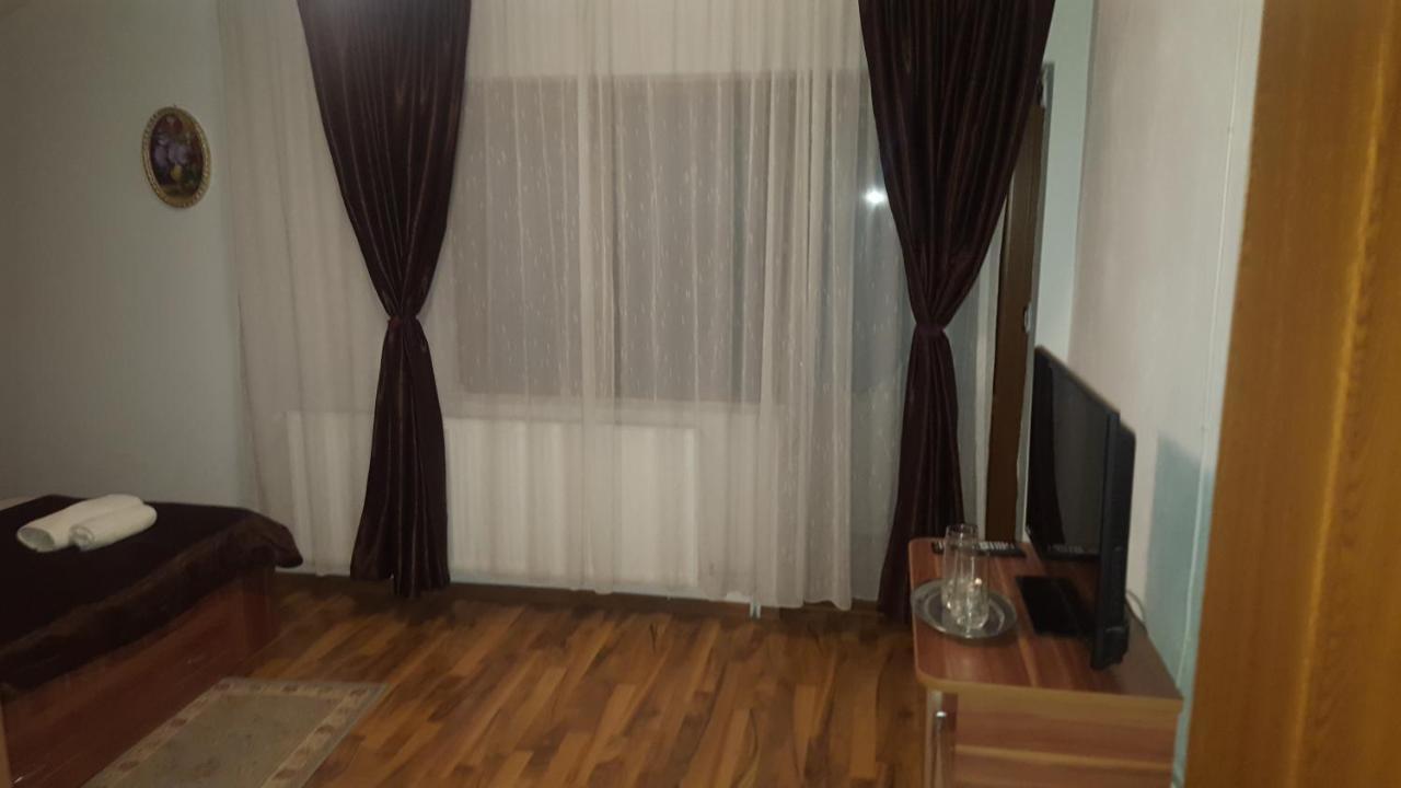 Vila Alex Hotel Calimanesti Luaran gambar