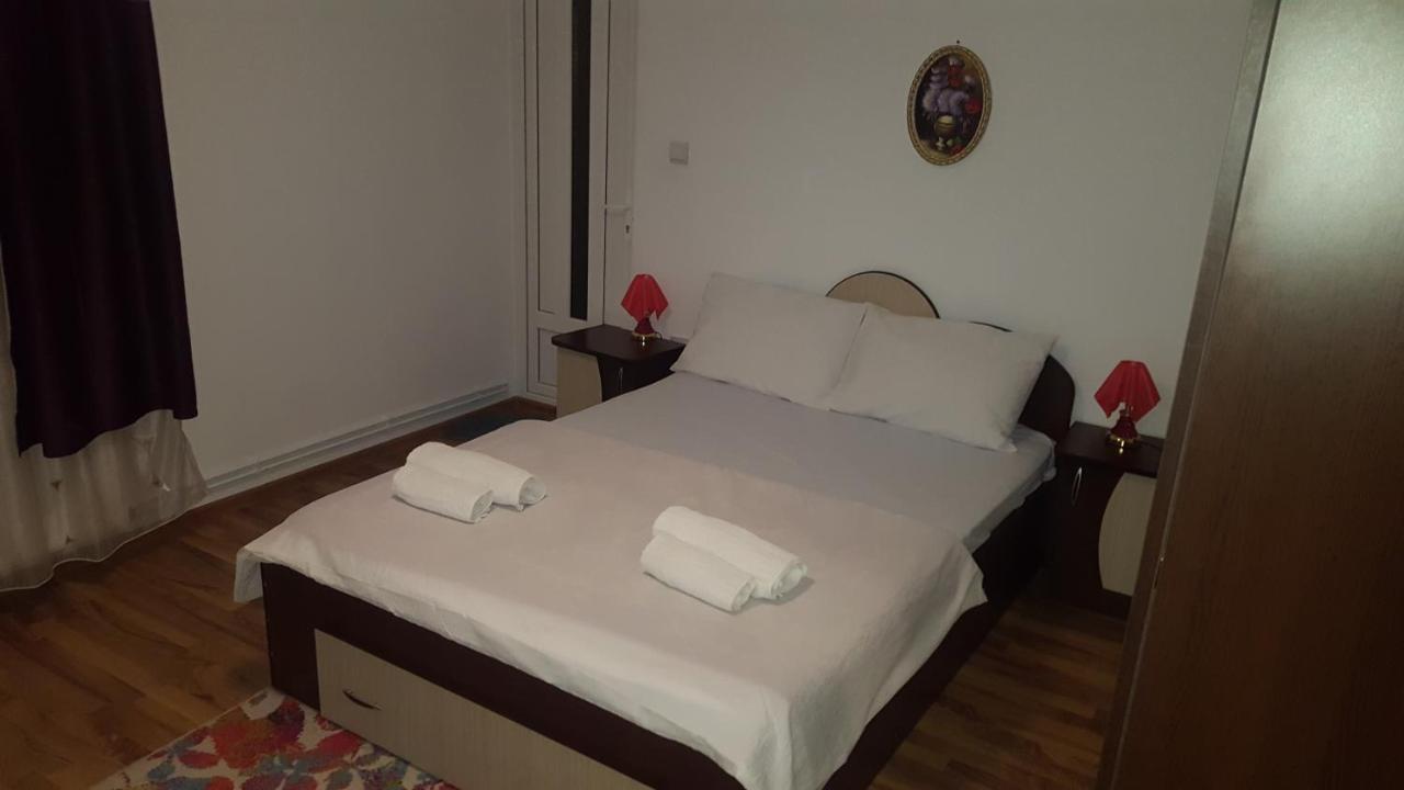 Vila Alex Hotel Calimanesti Luaran gambar